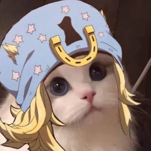 Meet your Posher, Jacob